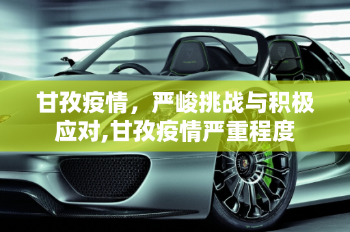 甘孜疫情，严峻挑战与积极应对,甘孜疫情严重程度