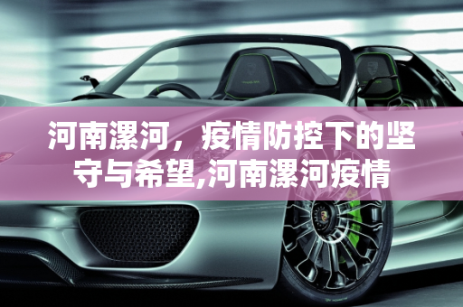 河南漯河，疫情防控下的坚守与希望,河南漯河疫情