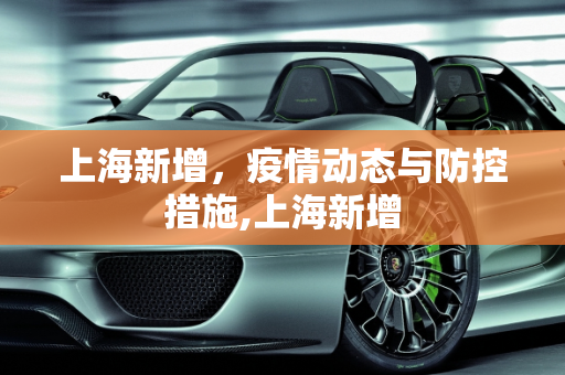 上海新增，疫情动态与防控措施,上海新增