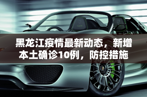 黑龙江疫情最新动态，新增本土确诊10例，防控措施持续加强,黑龙江新增本土确诊10例