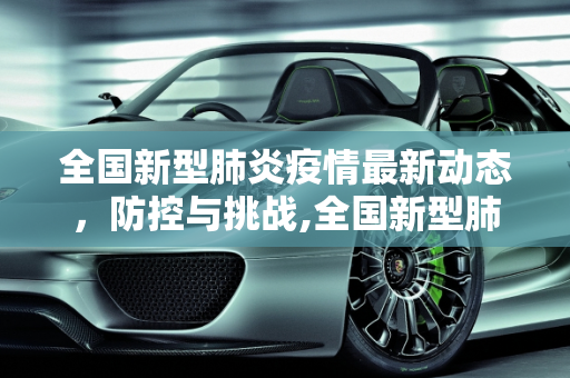 全国新型肺炎疫情最新动态，防控与挑战,全国新型肺炎疫情最新动态