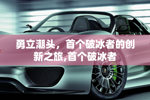 勇立潮头，首个破冰者的创新之旅,首个破冰者