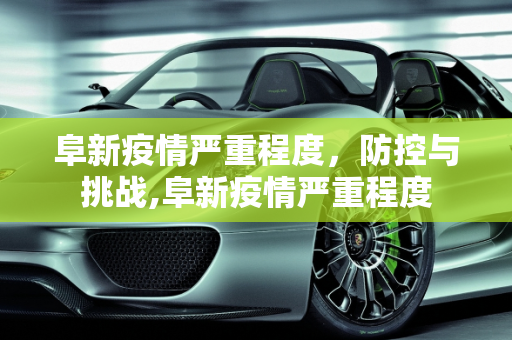 阜新疫情严重程度，防控与挑战,阜新疫情严重程度