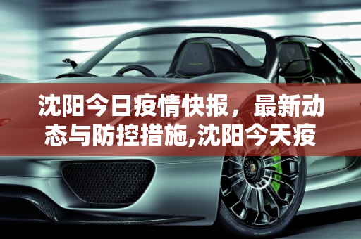 沈阳今日疫情快报，最新动态与防控措施,沈阳今天疫情最新情况