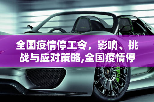 全国疫情停工令，影响、挑战与应对策略,全国疫情停工令