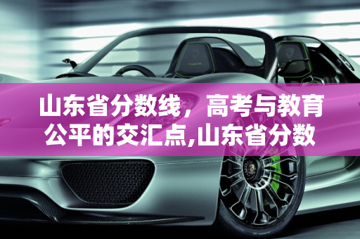 山东省分数线，高考与教育公平的交汇点,山东省分数线