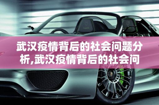 武汉疫情背后的社会问题分析,武汉疫情背后的社会问题分析