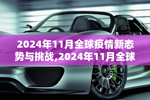 2024年11月全球疫情新态势与挑战,2024年11月全球疫情新态势与挑战