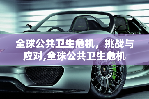 全球公共卫生危机，挑战与应对,全球公共卫生危机