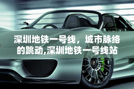 深圳地铁一号线，城市脉络的跳动,深圳地铁一号线站点