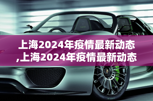 上海2024年疫情最新动态,上海2024年疫情最新动态