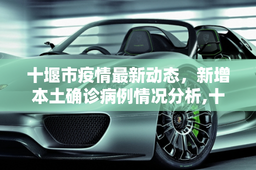 十堰市疫情最新动态，新增本土确诊病例情况分析,十堰新增本土确诊