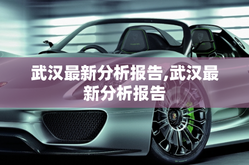 武汉最新分析报告,武汉最新分析报告