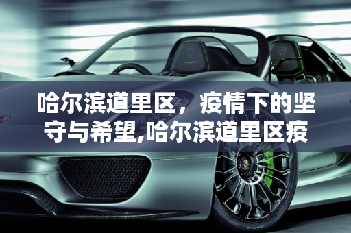 哈尔滨道里区，疫情下的坚守与希望,哈尔滨道里区疫情