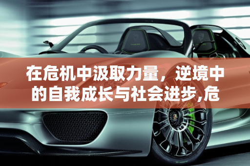 在危机中汲取力量，逆境中的自我成长与社会进步,危机中汲取力量