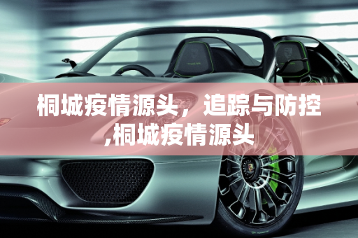 桐城疫情源头，追踪与防控,桐城疫情源头