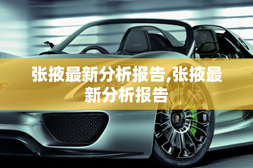 张掖最新分析报告,张掖最新分析报告