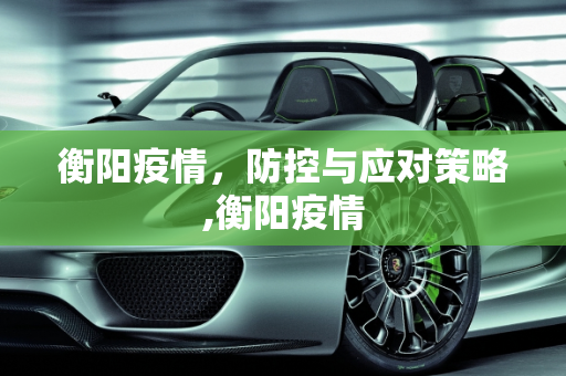 衡阳疫情，防控与应对策略,衡阳疫情