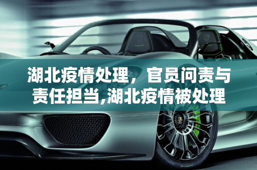 湖北疫情处理，官员问责与责任担当,湖北疫情被处理官员名单