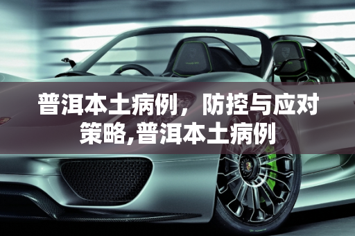 普洱本土病例，防控与应对策略,普洱本土病例
