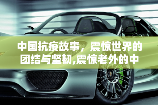 中国抗疫故事，震惊世界的团结与坚韧,震惊老外的中国抗疫故事