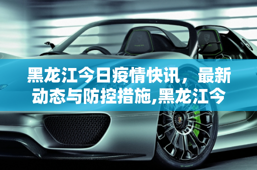 黑龙江今日疫情快讯，最新动态与防控措施,黑龙江今天最新疫情