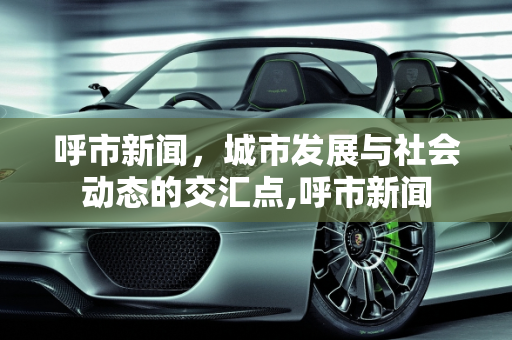 呼市新闻，城市发展与社会动态的交汇点,呼市新闻