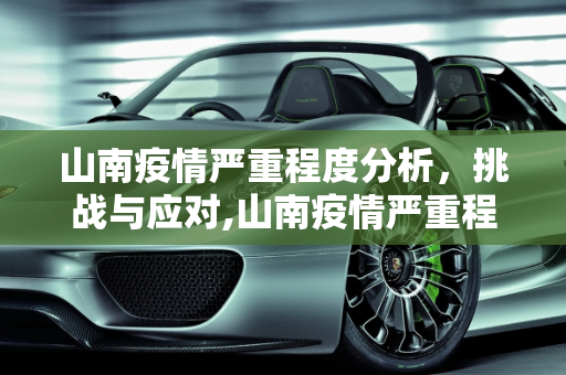 山南疫情严重程度分析，挑战与应对,山南疫情严重程度