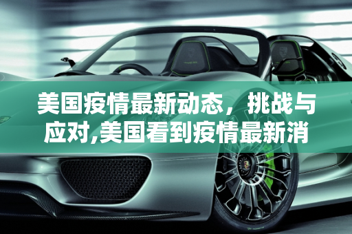 美国疫情最新动态，挑战与应对,美国看到疫情最新消息