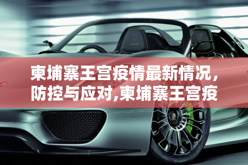 柬埔寨王宫疫情最新情况，防控与应对,柬埔寨王宫疫情最新情况