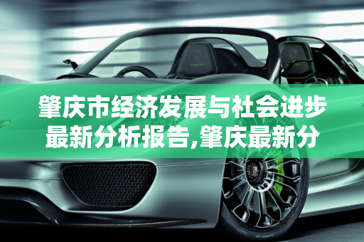 肇庆市经济发展与社会进步最新分析报告,肇庆最新分析报告