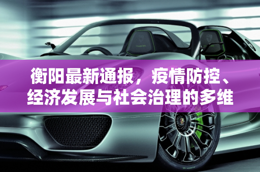 衡阳最新通报，疫情防控、经济发展与社会治理的多维进展,衡阳最新通报