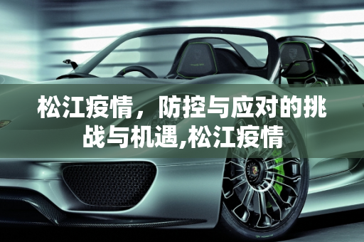 松江疫情，防控与应对的挑战与机遇,松江疫情