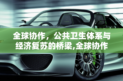 全球协作，公共卫生体系与经济复苏的桥梁,全球协作、公共卫生体系与经济复苏