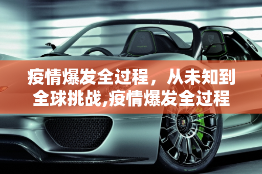 疫情爆发全过程，从未知到全球挑战,疫情爆发全过程