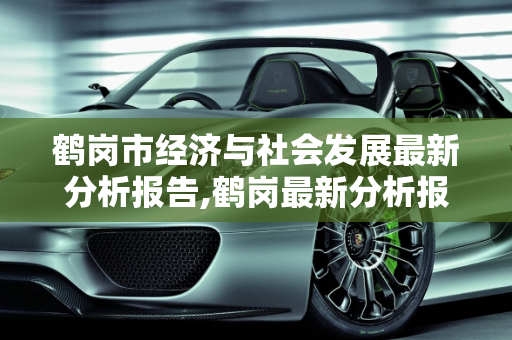 鹤岗市经济与社会发展最新分析报告,鹤岗最新分析报告