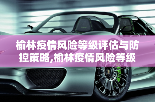 榆林疫情风险等级评估与防控策略,榆林疫情风险等级