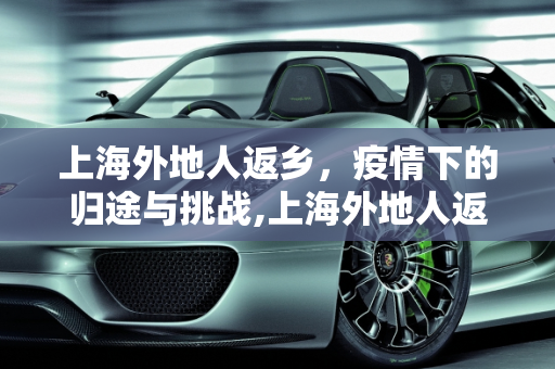 上海外地人返乡，疫情下的归途与挑战,上海外地人返乡
