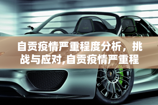 自贡疫情严重程度分析，挑战与应对,自贡疫情严重程度