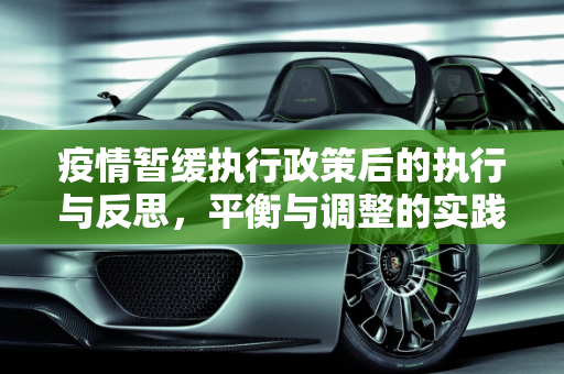 疫情暂缓执行政策后的执行与反思，平衡与调整的实践,疫情暂缓执行政策后的执行与反思