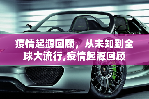 疫情起源回顾，从未知到全球大流行,疫情起源回顾