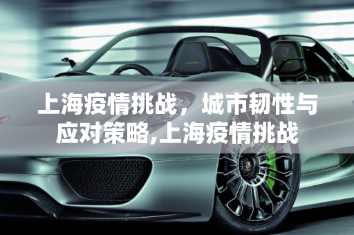 上海疫情挑战，城市韧性与应对策略,上海疫情挑战