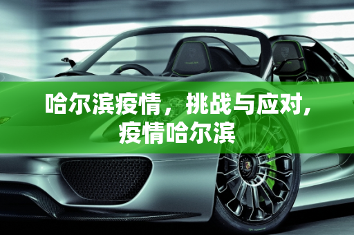 哈尔滨疫情，挑战与应对,疫情哈尔滨