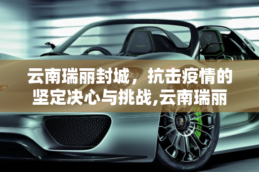 云南瑞丽封城，抗击疫情的坚定决心与挑战,云南瑞丽封城